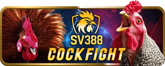 Ưu đãi chào mừng TY88